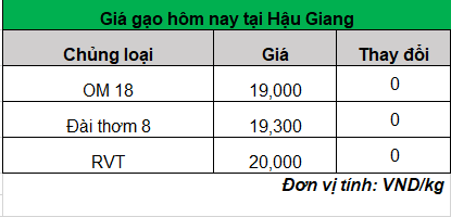 giá gạo hôm nay 27-2-2024_1709004062.png